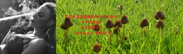 марки nbome Арсеньев