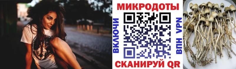 Псилоцибиновые грибы мухоморы  Сухиничи 